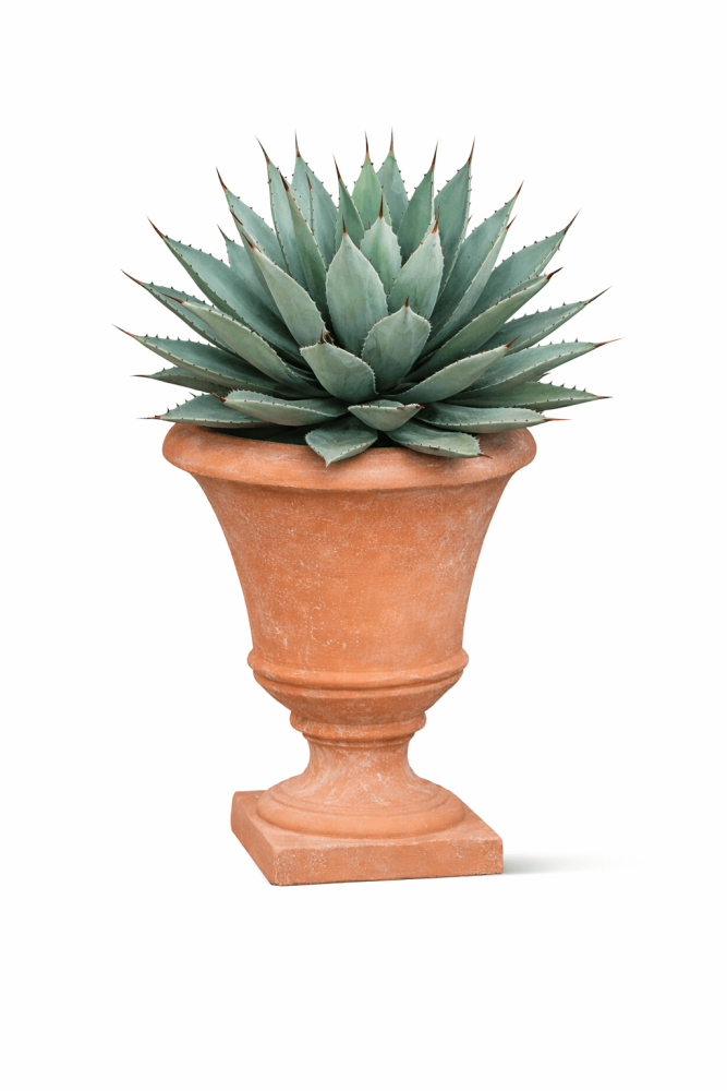 Preview: Pokal classique en terre cuite d’Impruneta – Pot de fleurs intemporel